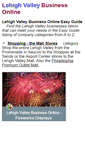 Mobile Screenshot of lehighvalleybusiness.org